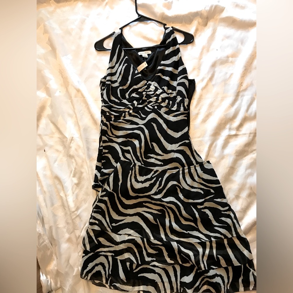 NWT White House Black Market Zebra Print Skirt & Top Set